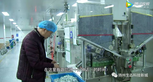 生態科技新城 以創新引擎助推民營經濟發展，多名企業家榮獲“科技企業家”稱號