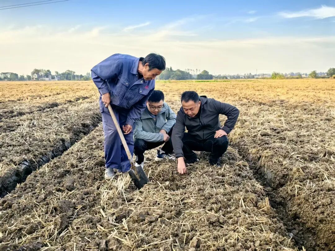 “農(nóng)技+農(nóng)機”雙擎驅(qū)動，為秋播秋種注入優(yōu)質(zhì)“種子力量”